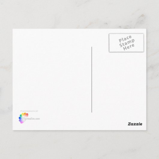 Telefonkabine Postkarte (Rückseite)