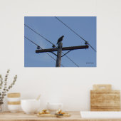 Telefonzelle Perlposter Poster (Küche)