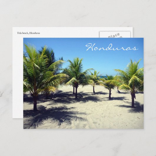 Telepalmen Postkarte (Vorne/Hinten)