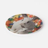 Teller (Schrägansicht)