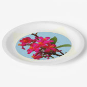 Teller (Schrägansicht)