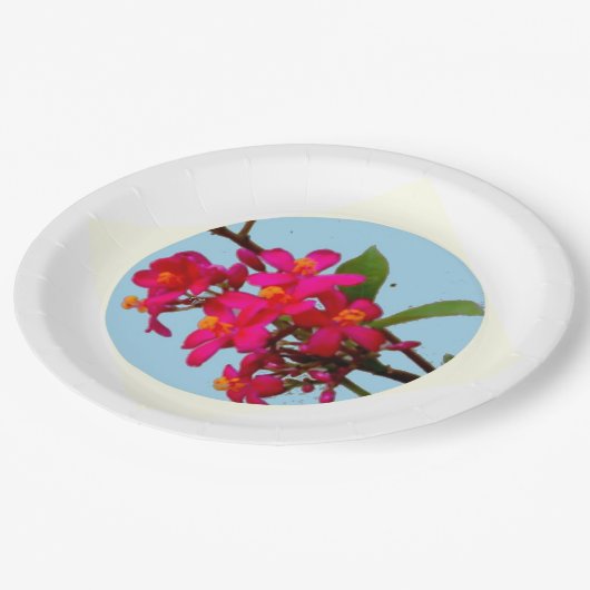 Teller (Schrägansicht)