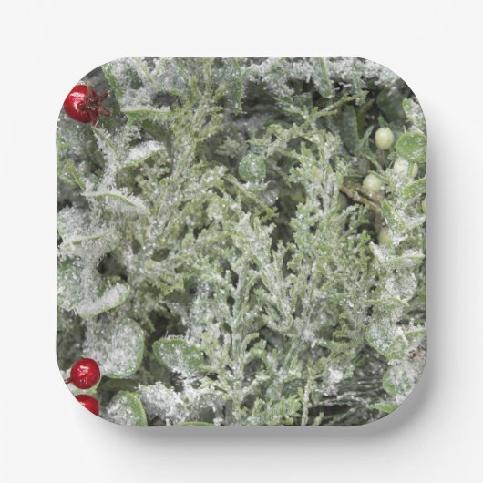 Teller (Vorderseite)