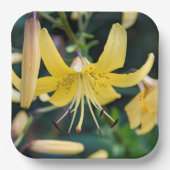 Teller (Vorderseite)