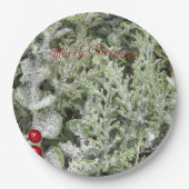 Teller (Vorderseite)