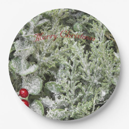 Teller (Vorderseite)