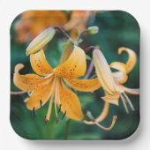 Teller (Vorderseite)