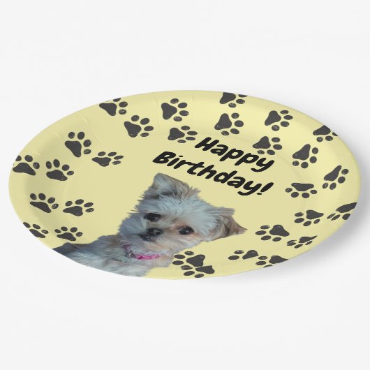 Teller (Schrägansicht)