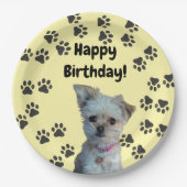 Teller (Vorderseite)