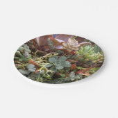 Teller (Schrägansicht)