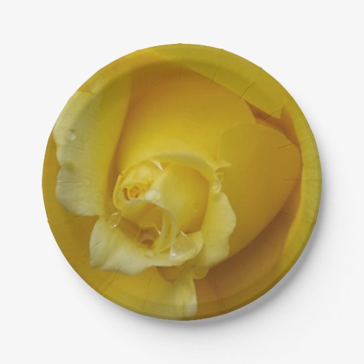 Teller aus Gelrosa (Vorderseite)