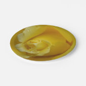 Teller aus Gelrosa (Schrägansicht)