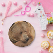 Teller aus Grizzlybärpapier (Party)