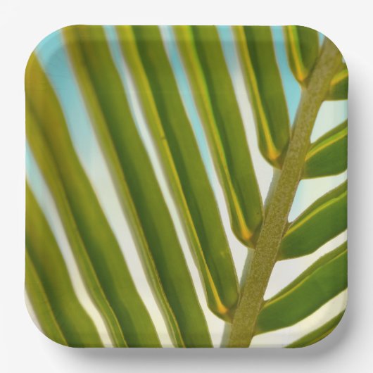 Teller aus Kokoslef (Vorderseite)