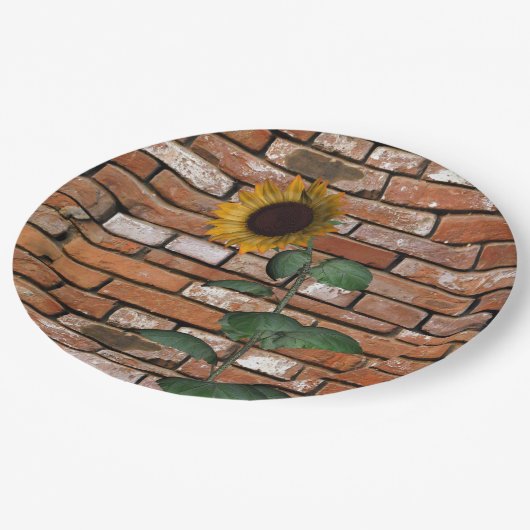 Teller aus Sonnenblumen (Schrägansicht)