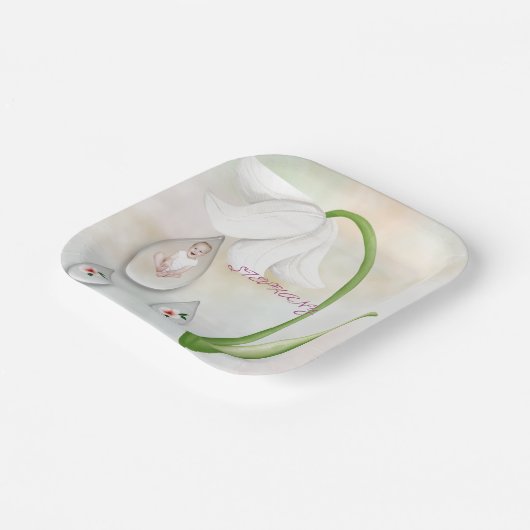 Teller aus weißem Fell (Gewinkelt)