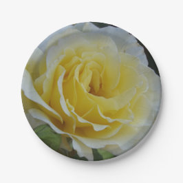 Teller aus Weißrosa