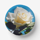 Teller aus Weißrosen (Vorderseite)