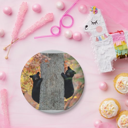 Teller der schwarzen Bären (Party)