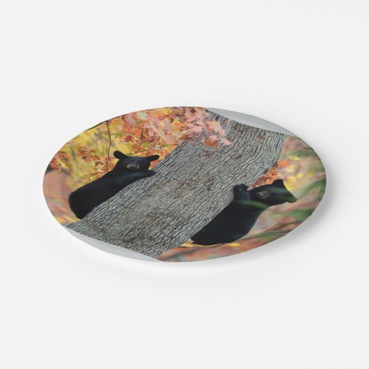 Teller der schwarzen Bären (Schrägansicht)