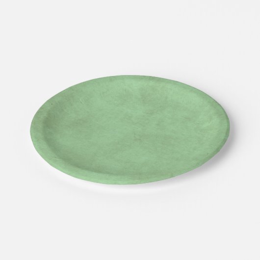 Teller des Grünbuchs (Schrägansicht)