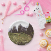 Teller des Hochgebirgsparadieses (Party)