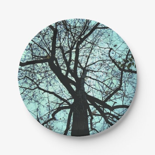 Teller für Baumuster (Vorderseite)