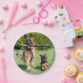 Teller für deutsche Hirtenpapiere (Party)