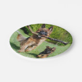 Teller für deutsche Hirtenpapiere (Schrägansicht)