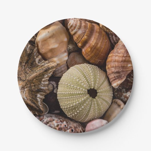 Teller für gemischte Muscheln (Vorderseite)