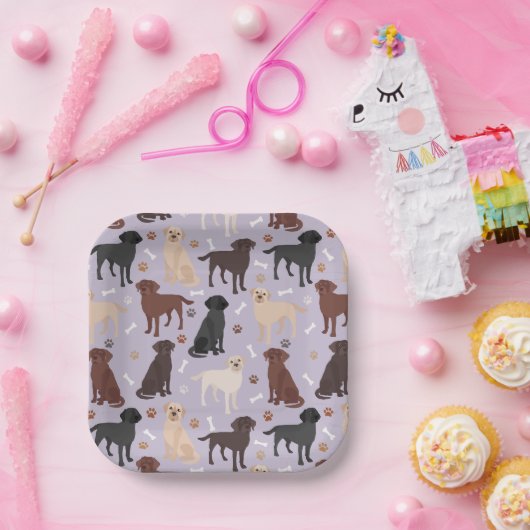 Teller für Labrador-Retriever (Party)