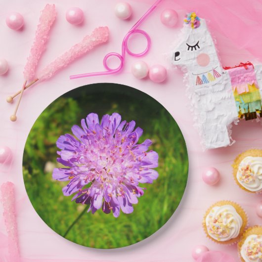 Teller für Papier mit Feldbezug (Party)