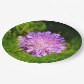 Teller für Papier mit Feldbezug (Schrägansicht)