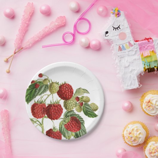 Teller für rotes Himbeeren, botanisches Design (Party)