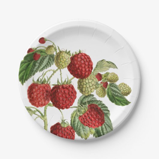 Teller für rotes Himbeeren, botanisches Design (Vorderseite)