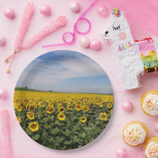 Teller für Sonnenblumenfelder (Party)