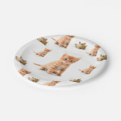 Teller Kitten (Schrägansicht)