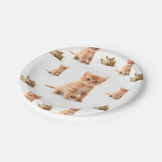 Teller Kitten (Schrägansicht)