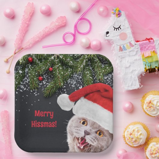 Teller, Merry Hissmas Pappteller (Party)