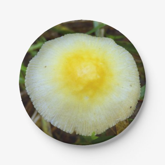 Teller mit gelber Feldkappe (Vorderseite)