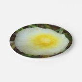 Teller mit gelber Feldkappe (Schrägansicht)