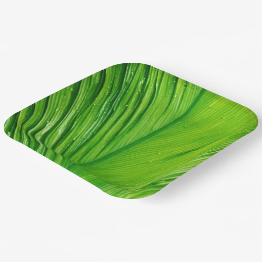Teller mit Leaf-Design (Gewinkelt)
