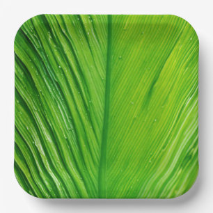 Teller mit Leaf-Design