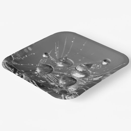 Teller mit ruhigen Wassertropfen (Gewinkelt)