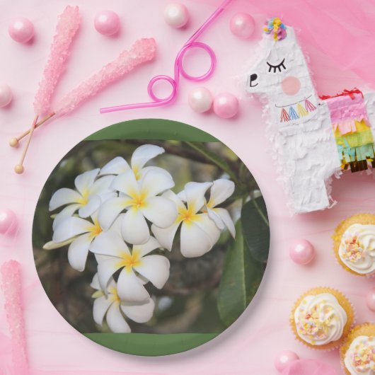 Teller mit tropischen Blume, Plumeria (Party)