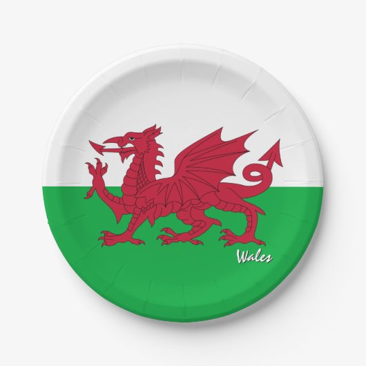 Teller, Party, Sport, Cymru / Wales Pappteller (Vorderseite)