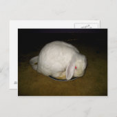 Teller Postkarte (Vorne/Hinten)