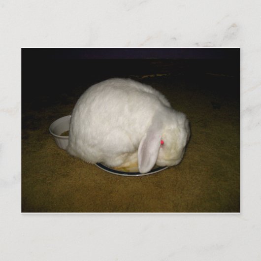 Teller Postkarte (Vorderseite)