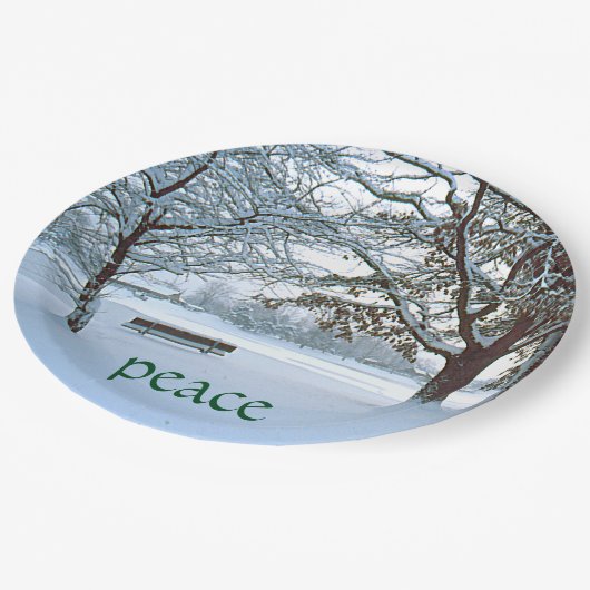 Teller, SCHNEEBEDECKTER PARK/LEONEN BENCH/"FRIEDEN Pappteller (Schrägansicht)