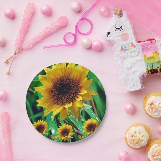 Teller Sonnenblumen (Party)